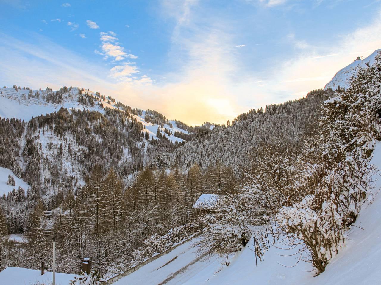 Chalet Les 3 Marmottes in Gruyères, Fribourg (kanton), Zwitserland voor 6 personen foto 20