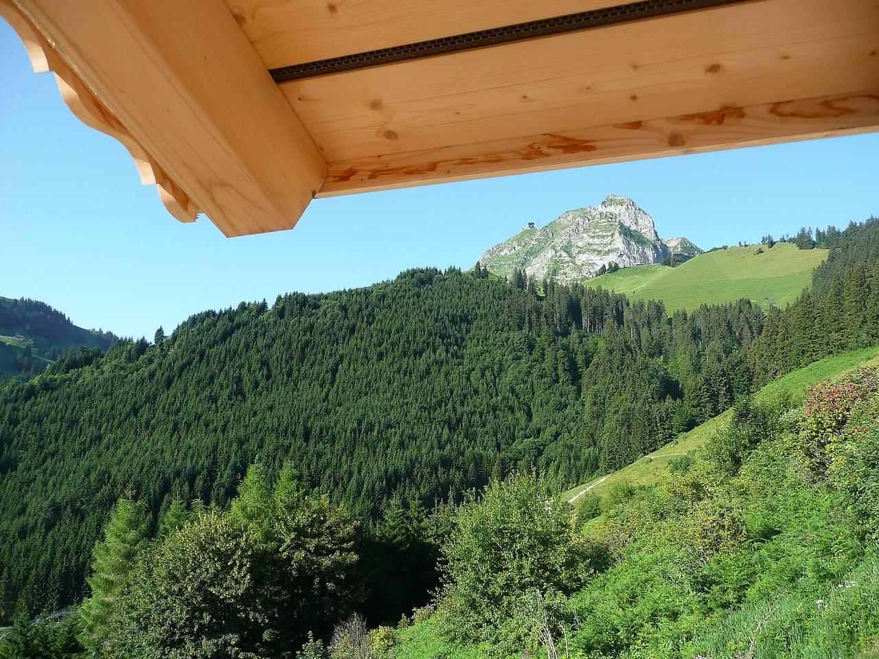 Chalet La Poya in Gruyères, Fribourg (kanton), Zwitserland voor 6 personen foto 22