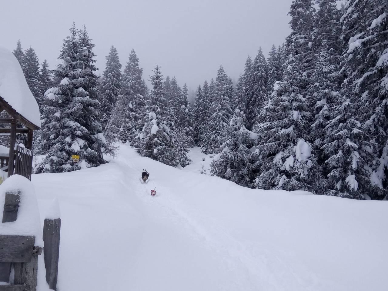 Garten Appartement in Stubai Alps, Axams, Oostenrijk voor 2 personen foto 21
