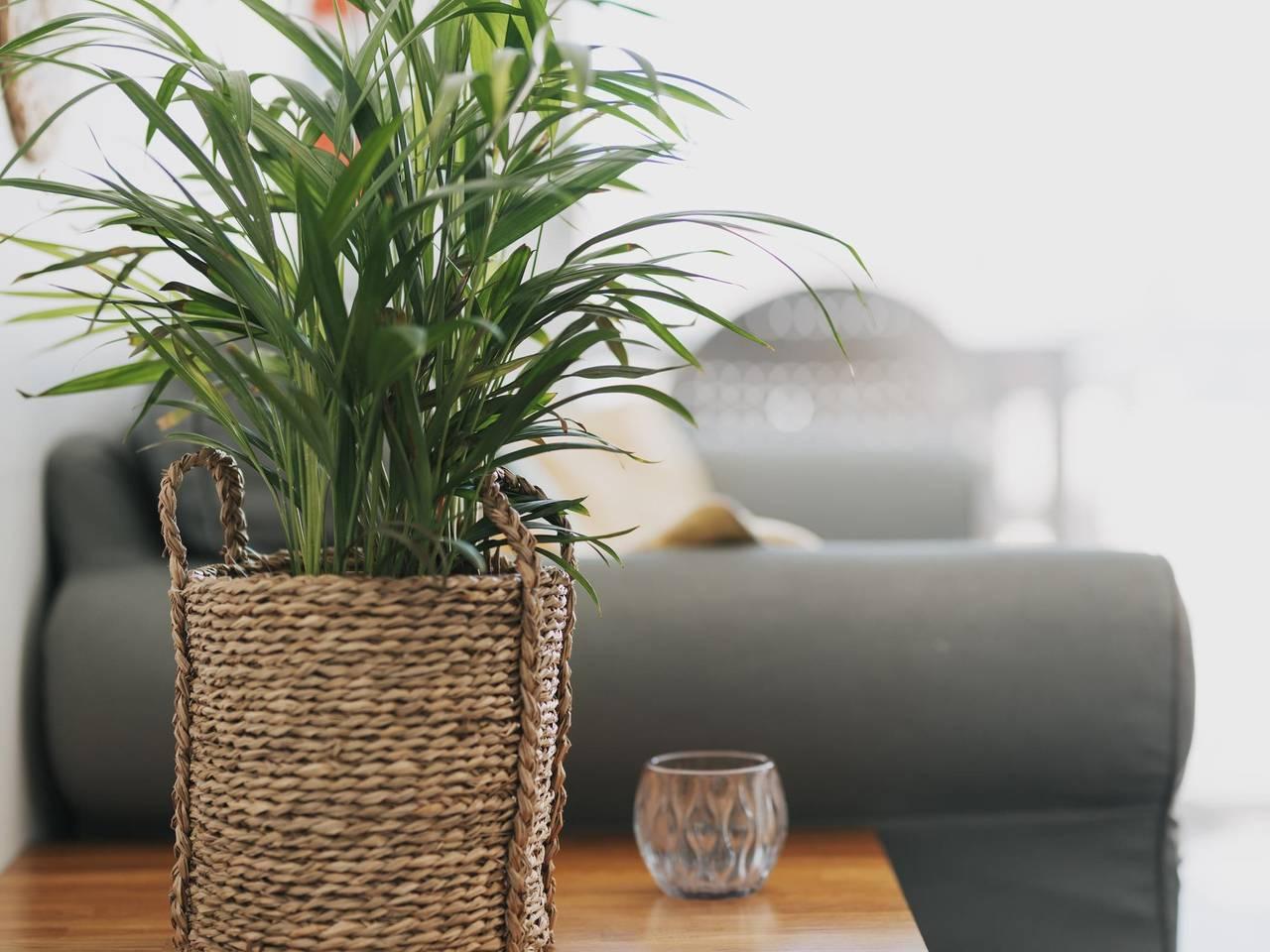 Vakantieappartement in Gran Canaria, Spanje voor 2 personen foto 6