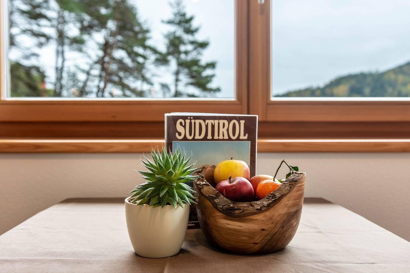Vakantieappartement in Kronplatz, Italië voor 3 personen foto 4