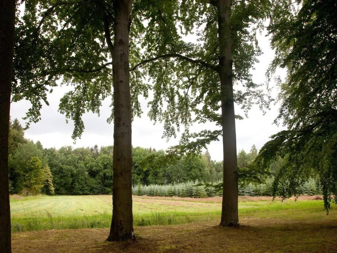 Rustig comfort in Oelsnitz in Oelsnitz/Erzgeb., Ertsgebergte, Duitsland voor 3 personen foto 22