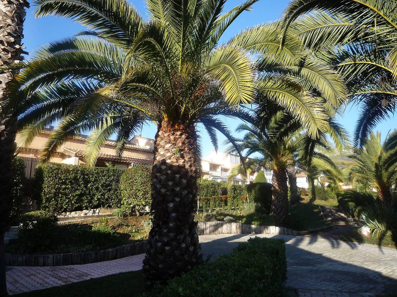 Le Jardin de Matisse in Vence, Middellandse Zeekust (Frankrijk), Frankrijk voor 4 personen foto 20
