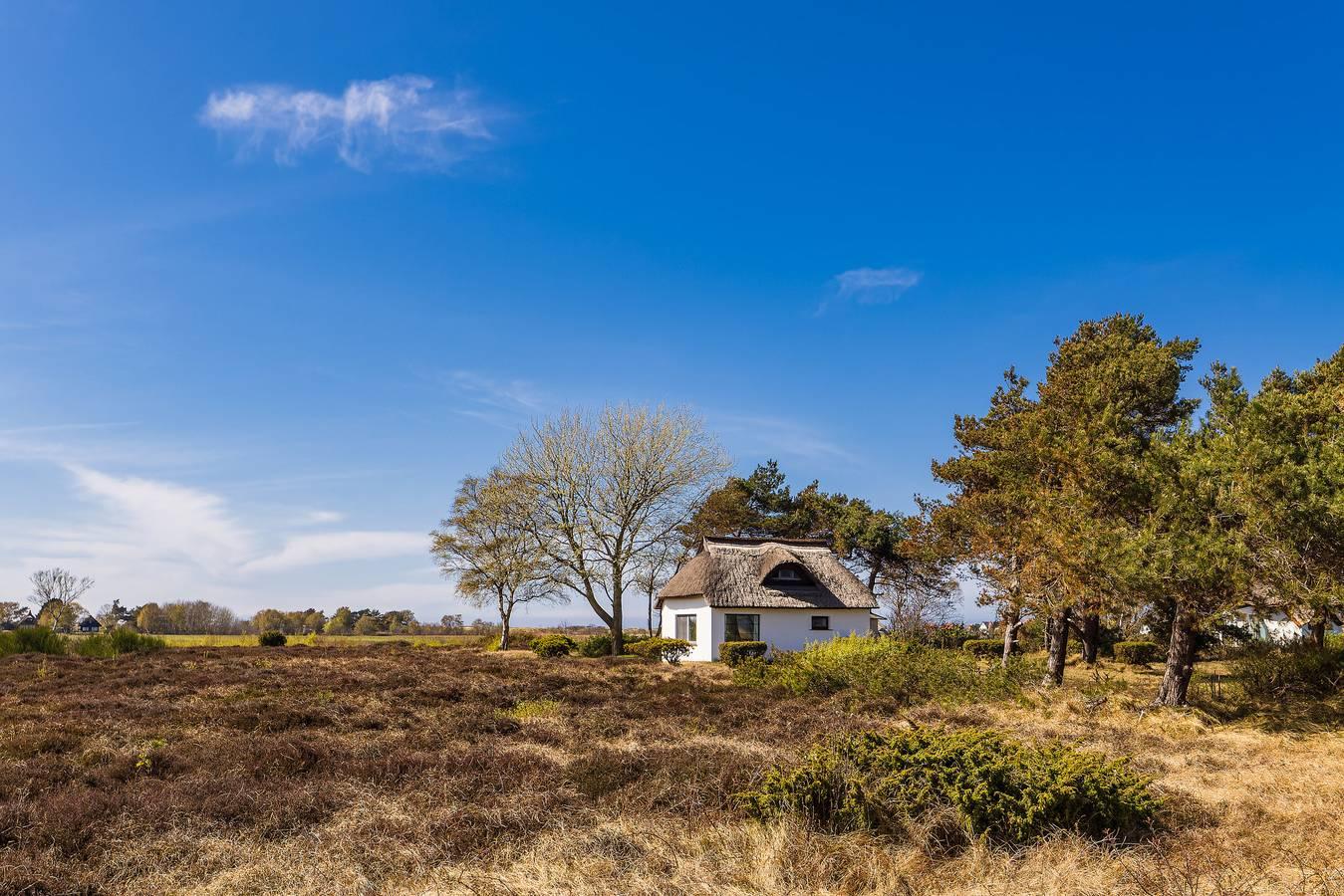 Vakantieappartement onder een rieten dak, slechts in Neuendorf Hiddensee Island, Hiddensee, Duitsland voor 3 personen foto 20