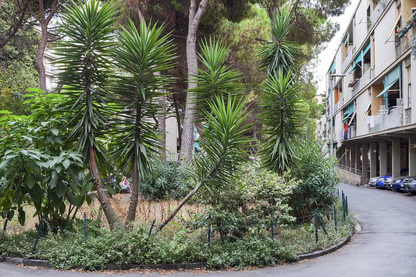La casa di Lorenzo in Genua (Stad), Genua, Italië voor 4 personen foto 21