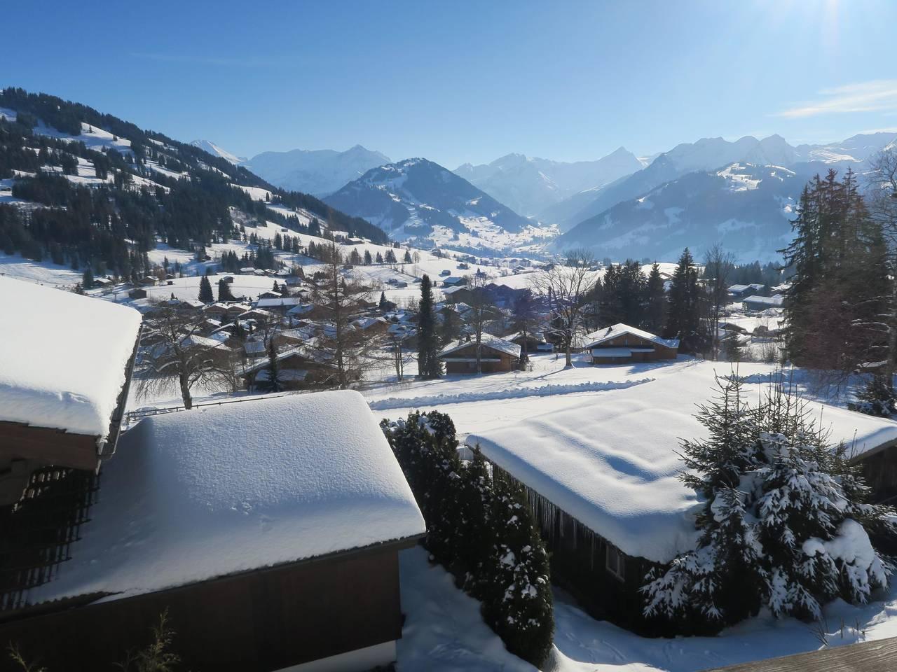 Vakantieappartement in Saanen, Zwitserland voor 5 personen foto 10