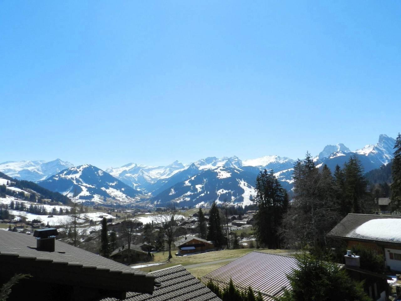 Vakantieappartement in Saanen, Zwitserland voor 5 personen foto 8