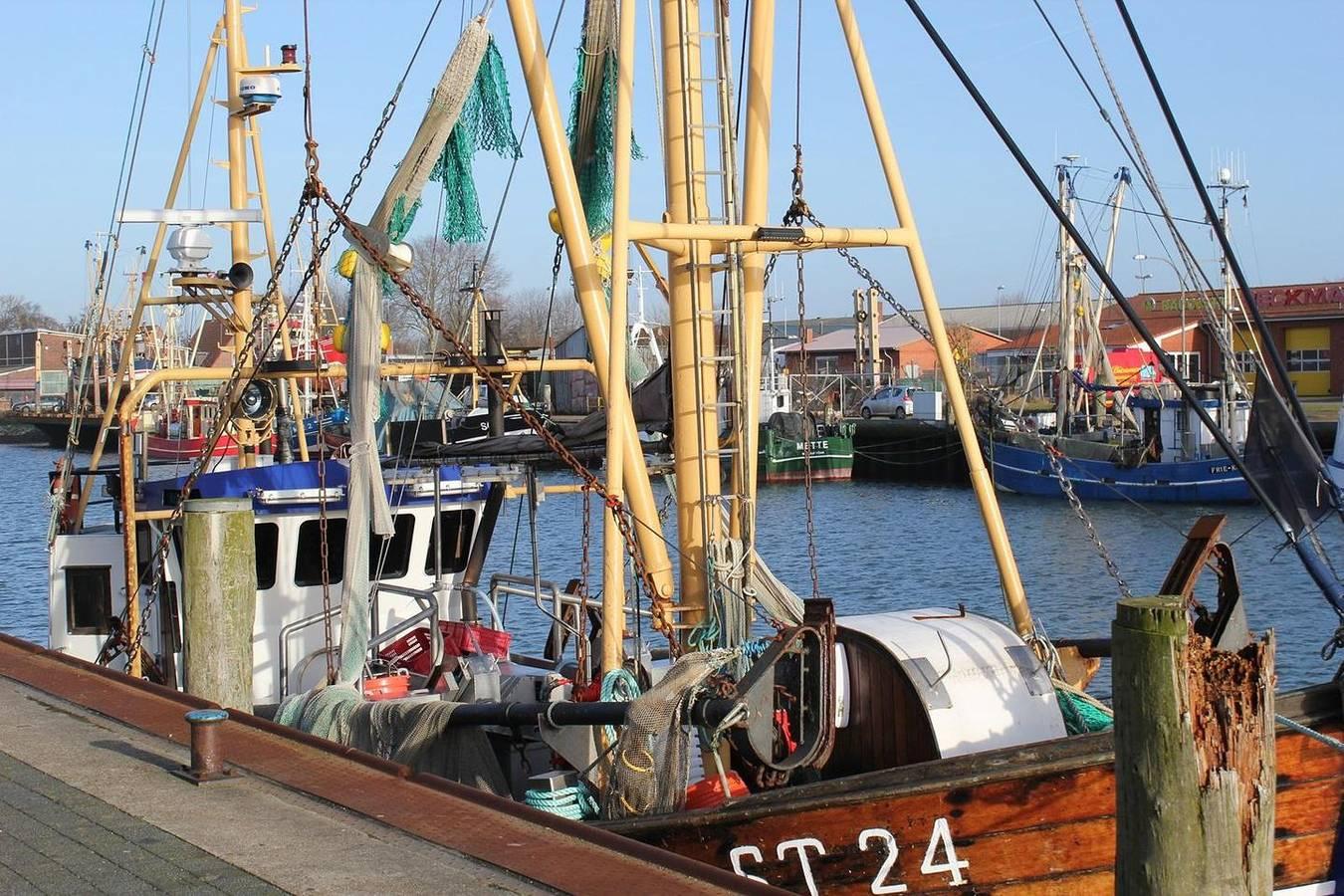 Vakantieappartement in Büsum, Duitsland voor 4 personen foto 14