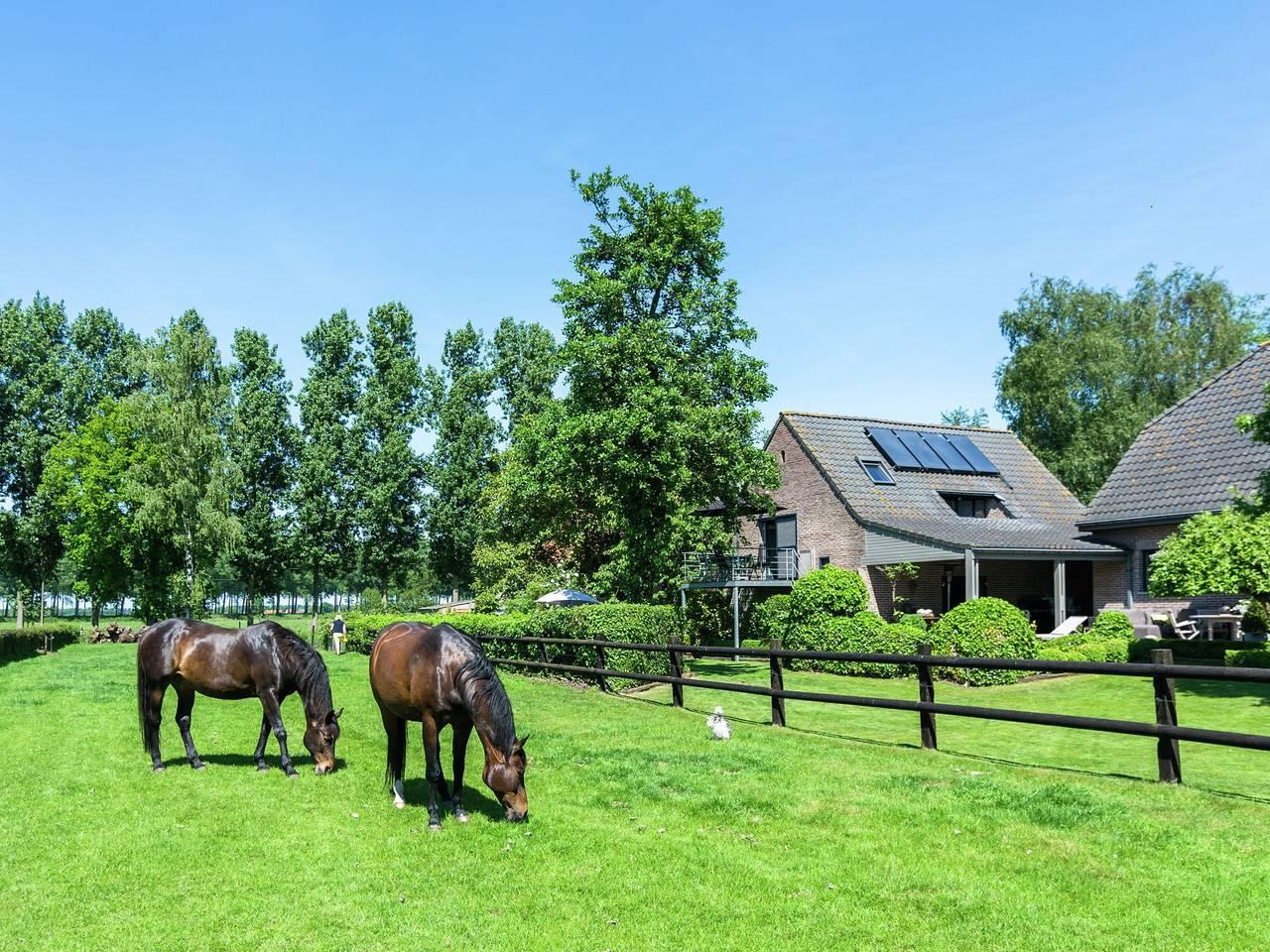 Vakantieappartement in Maldegem, België voor 4 personen foto 6