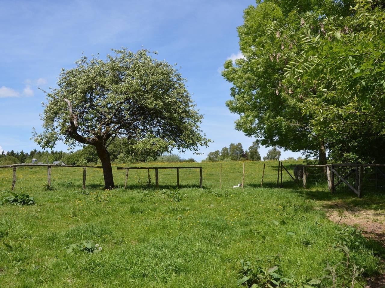 Familievilla in Ferrières in Ferrières (Luik), België voor 9 personen foto 22