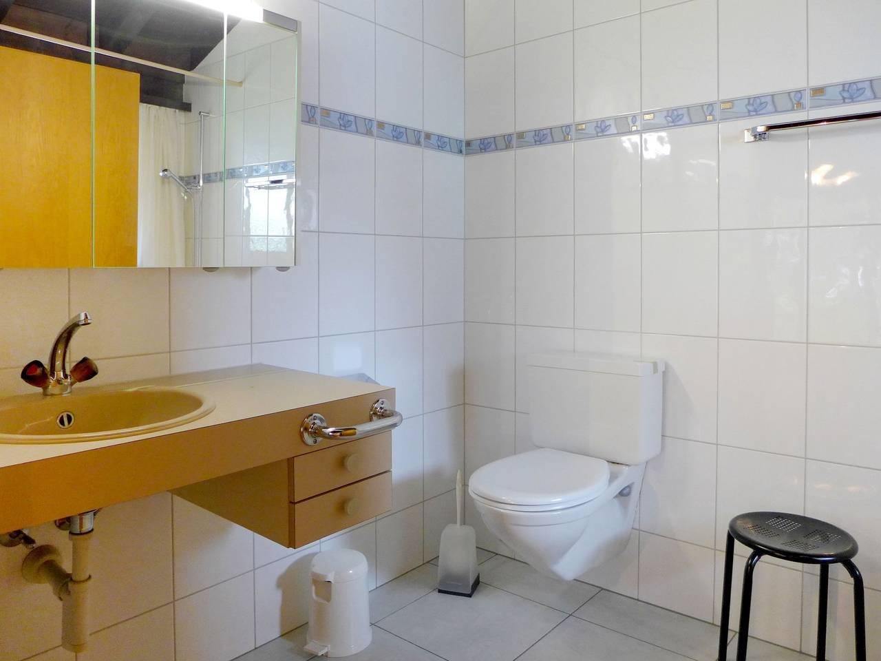 Vakantieappartement in Wilderswil, Zwitserland voor 4 personen foto 14