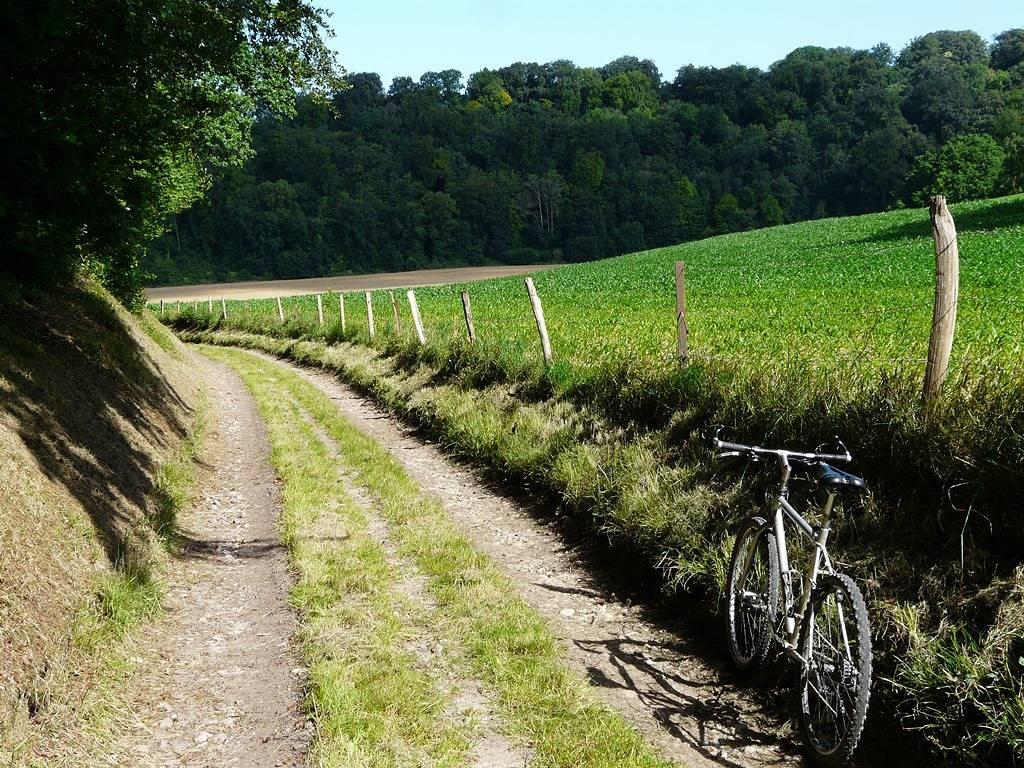 Gîtes de France® - La Clef des Champs in Sauchay, Frankrijk voor 5 personen foto 23