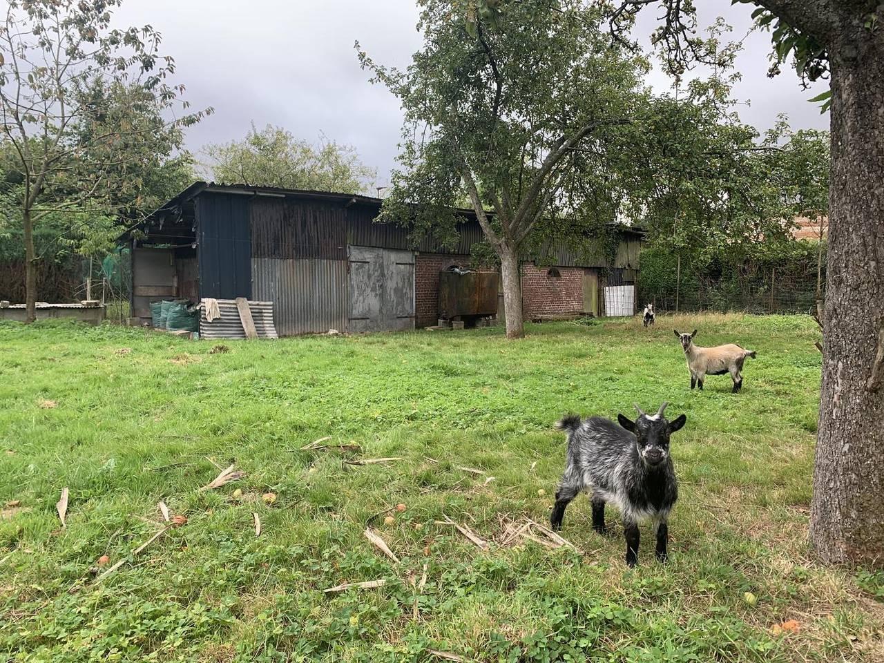 Gîtes de France® - Le Gîte des Coquins in Écrainville, Frankrijk voor 8 personen foto 23