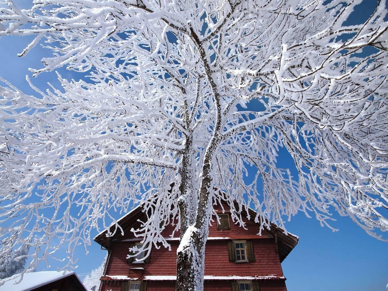 Vakantiehuis in Kandergrund vanaf 66€ per nacht