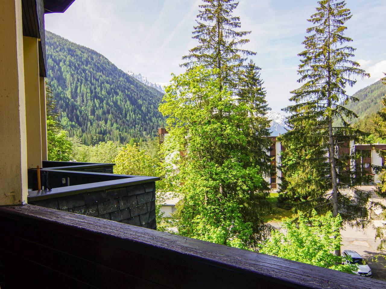 Vakantieappartement in Chamonix, Frankrijk voor 4 personen foto 15