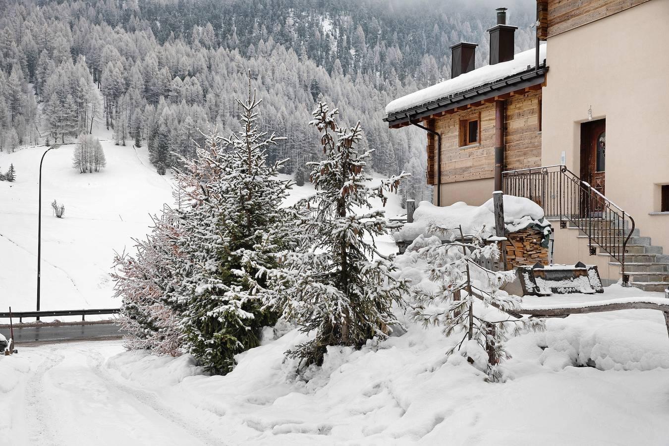 Appartement "Casa Nicoletta estate" dicht bij de skiliften in Livigno (Town), Livigno, Italië voor 3 personen foto 25
