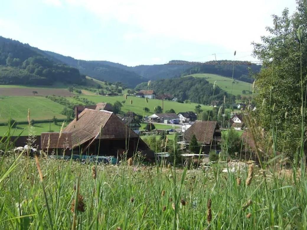 Vakantiehuis in Steinach, Duitsland voor 3 personen foto 18