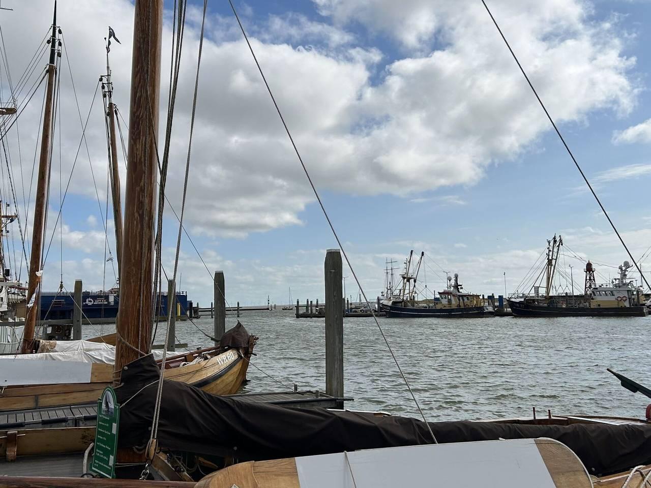 Vakantiehuis in IJsselmeer, Nederland voor 4 personen foto 13