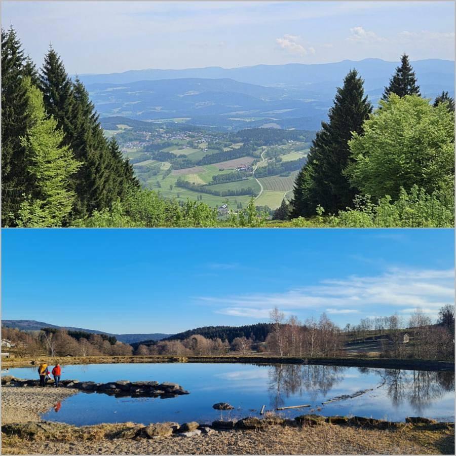 Vakantiehuis met sauna en binnenzwembad in Sankt Englmar, Vorderer Bayerischer Wald, Duitsland voor 5 personen foto 21