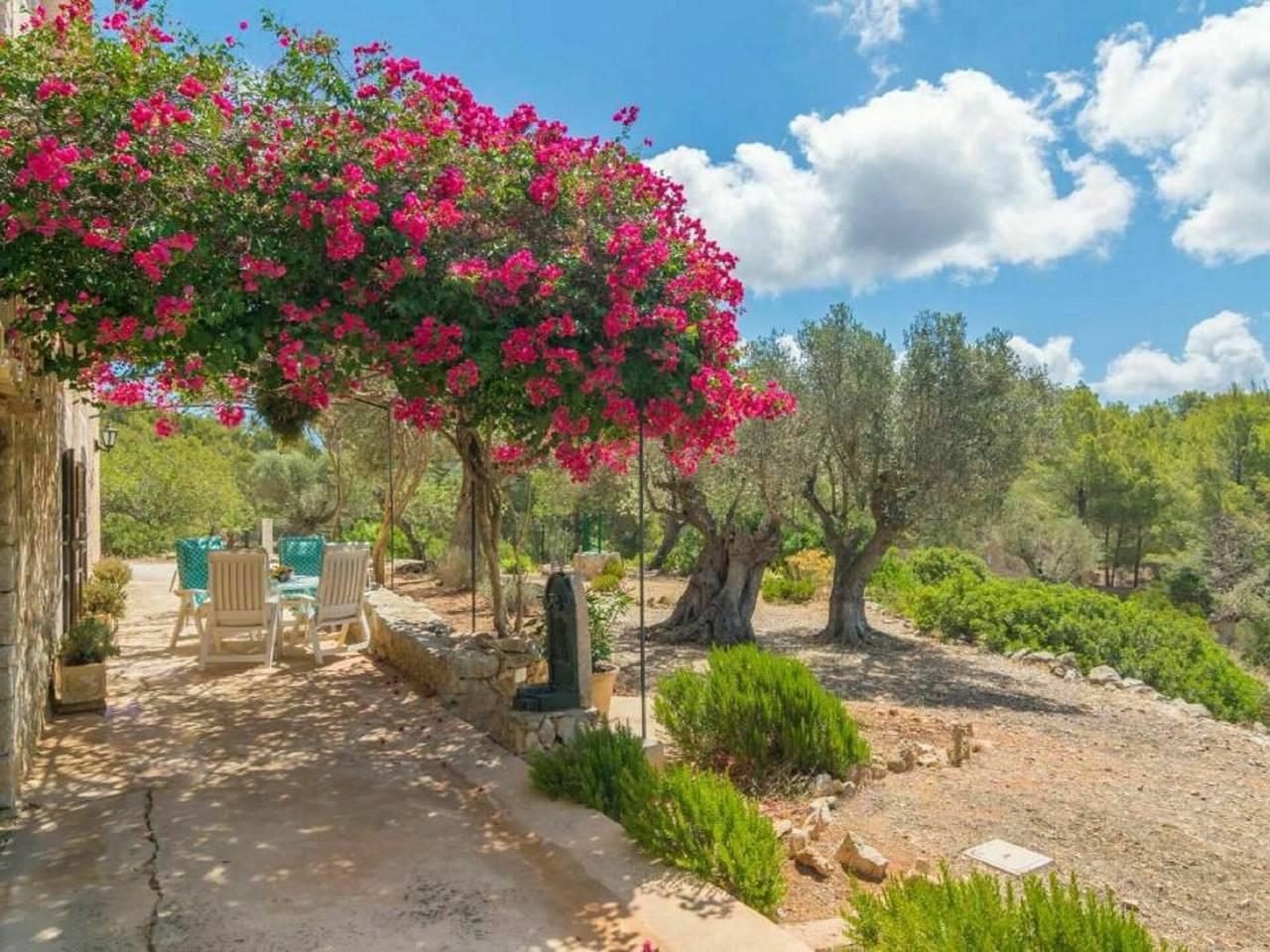 Vakantiehuis in Andratx, Spanje voor 4 personen foto 6