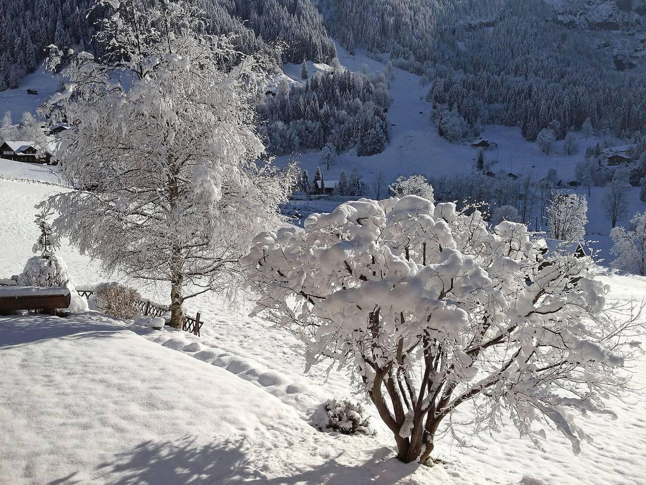Vakantieappartement in Grindelwald, Zwitserland voor 3 personen foto 12