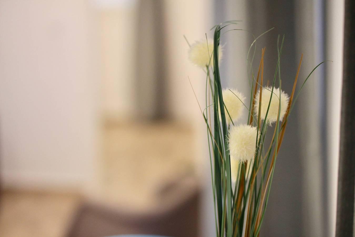 Vakantieappartement in Cádiz, Spanje voor 3 personen foto 11