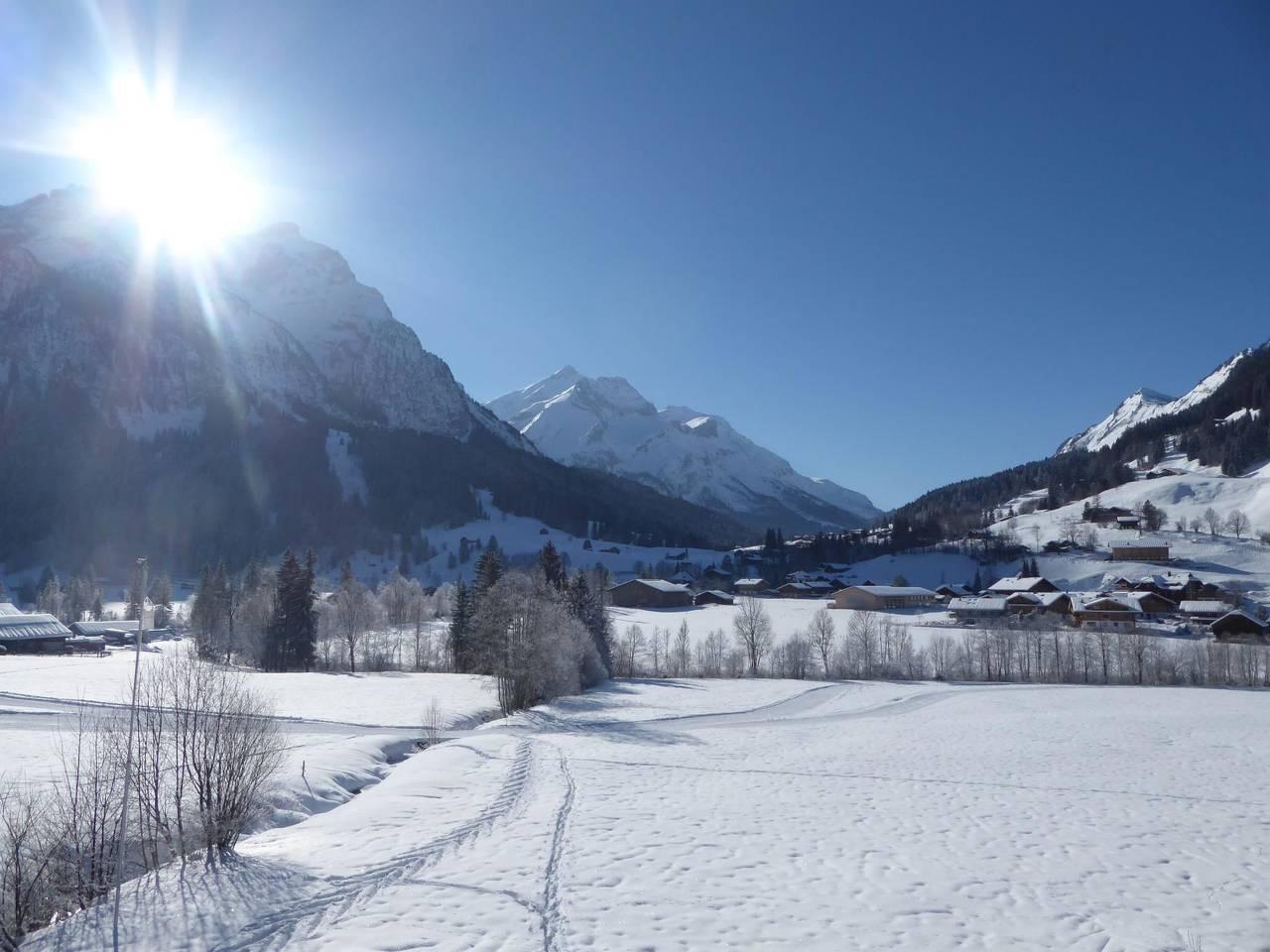 Vakantieappartement in Gsteig, Zwitserland voor 5 personen foto 6