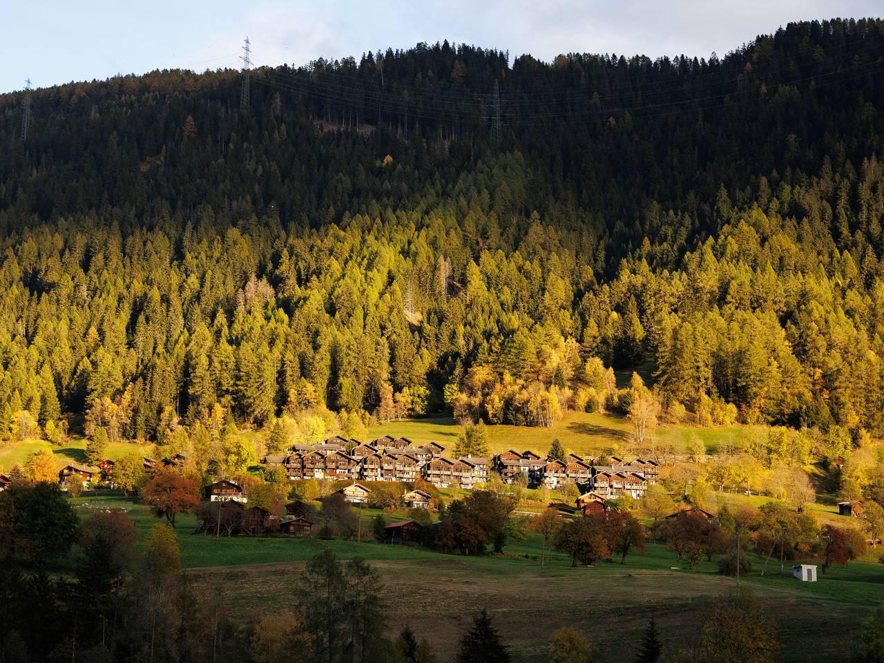 Vakantieappartement met speeltuin in Ernen, Aletsch Arena, Zwitserland voor 5 personen foto 25