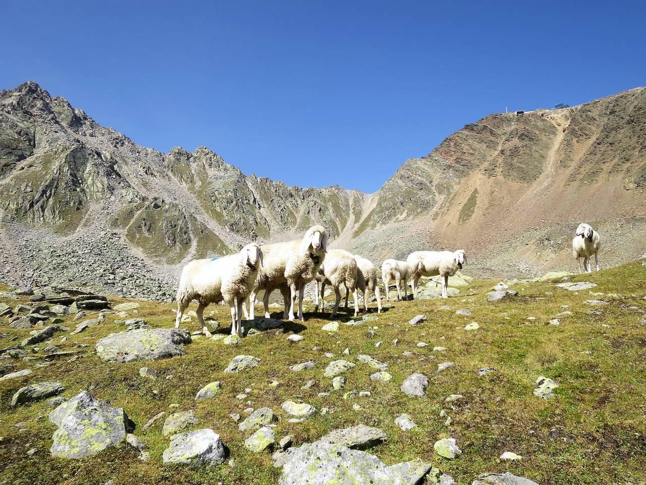 Vakantieappartement met sauna en 5 slaapkamers en balkon in Sölden, Ötztal, Oostenrijk voor 11 personen foto 23