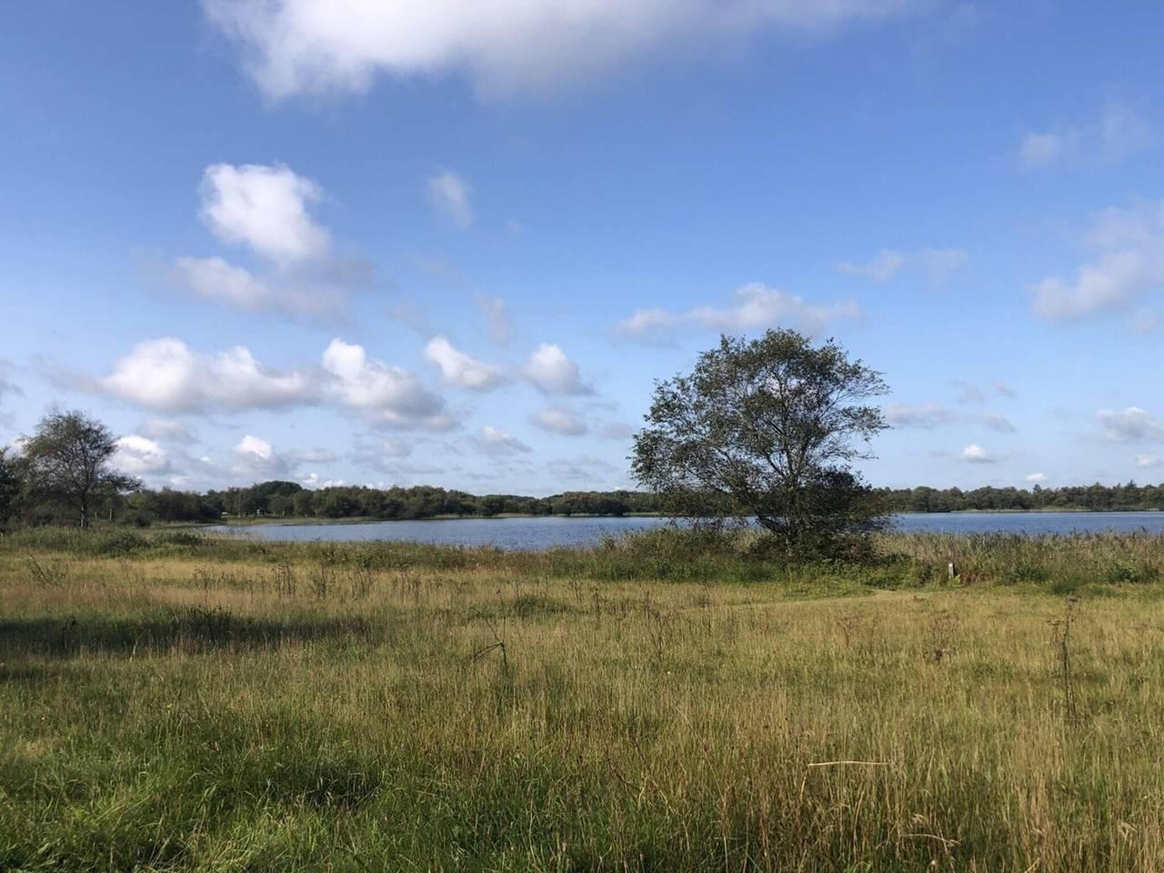 Vakantiehuis in Zuid-Jutland, Denemarken voor 8 personen foto 8
