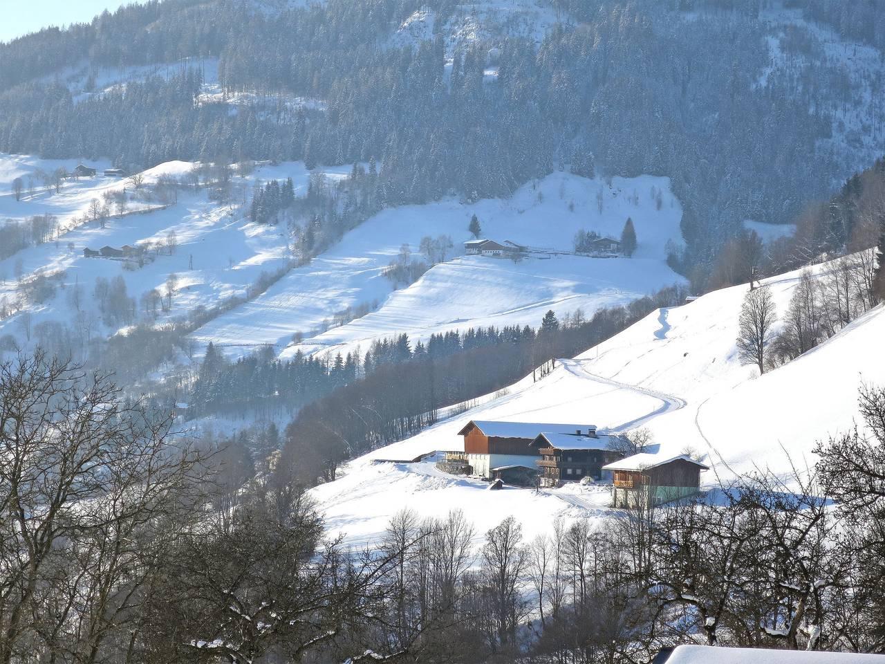 Vakantieappartement in Pinzgau, Oostenrijk voor 16 personen foto 6