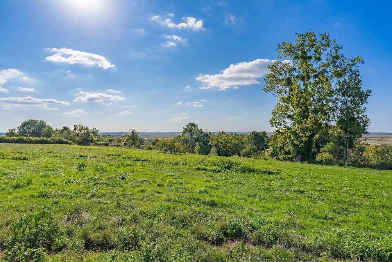 Maison 'Gite Piscine Intérieure Brouage' met privéterras, gedeelde tuin in Poitou-Charentes, Frankrijk voor 4 personen foto 21