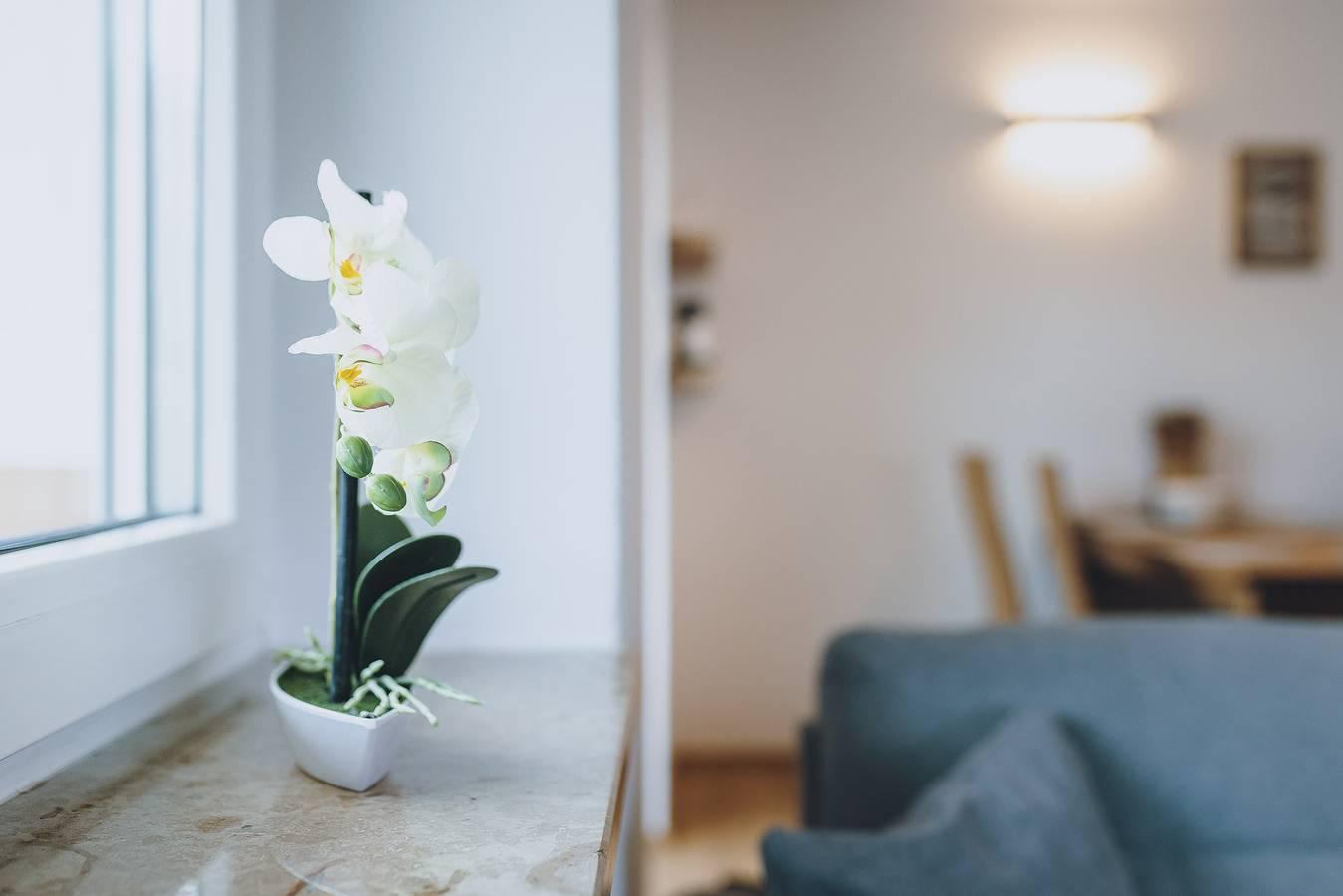 Vakantieappartement in Pinzgau, Oostenrijk voor 6 personen foto 10