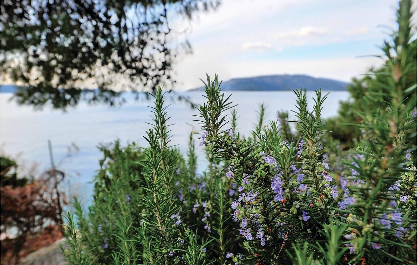 Gezellig appartement op 1,5 km van het strand: 2 in Drvenik Veliki, Drvenik Mali und Veli, Kroatië voor 5 personen foto 24