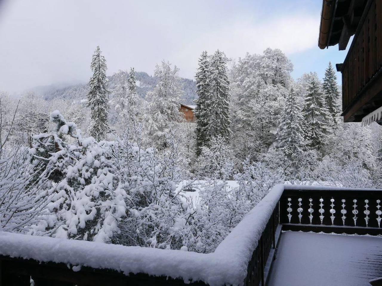 Vakantieappartement in Saanen, Zwitserland voor 9 personen foto 14