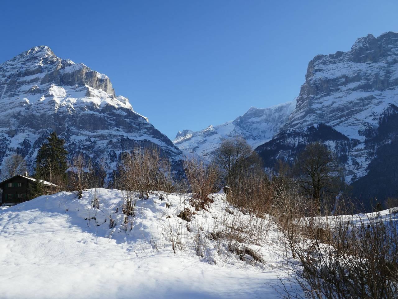 Chalet Blaugletscher in Schwendi b. Grindelwald, Grindelwald, Zwitserland voor 4 personen foto 17