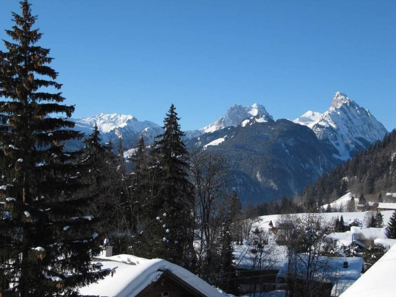 Vakantieappartement in Saanen, Zwitserland voor 4 personen foto 4