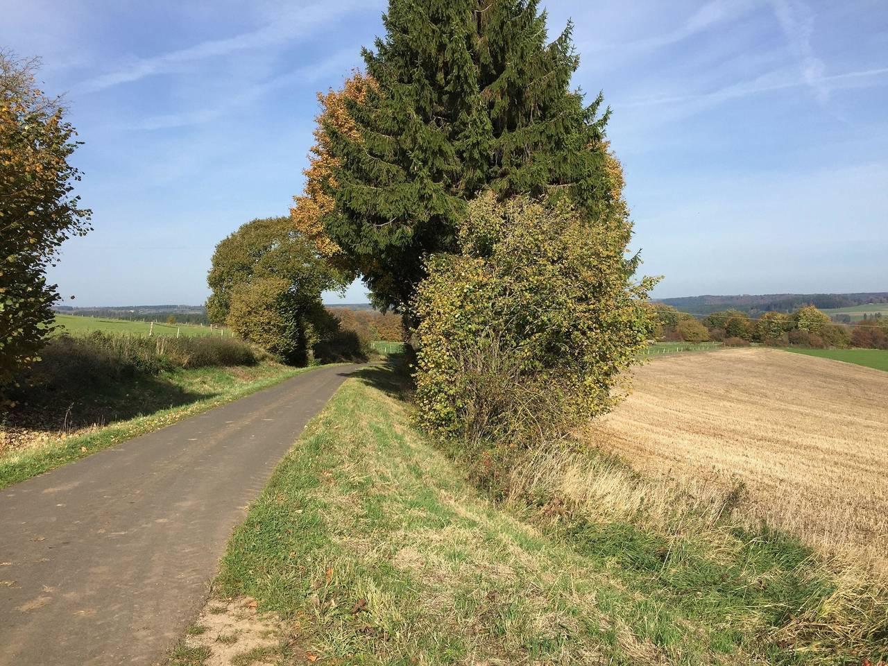Vakantieappartement in North Eifel, Duitsland voor 5 personen foto 13