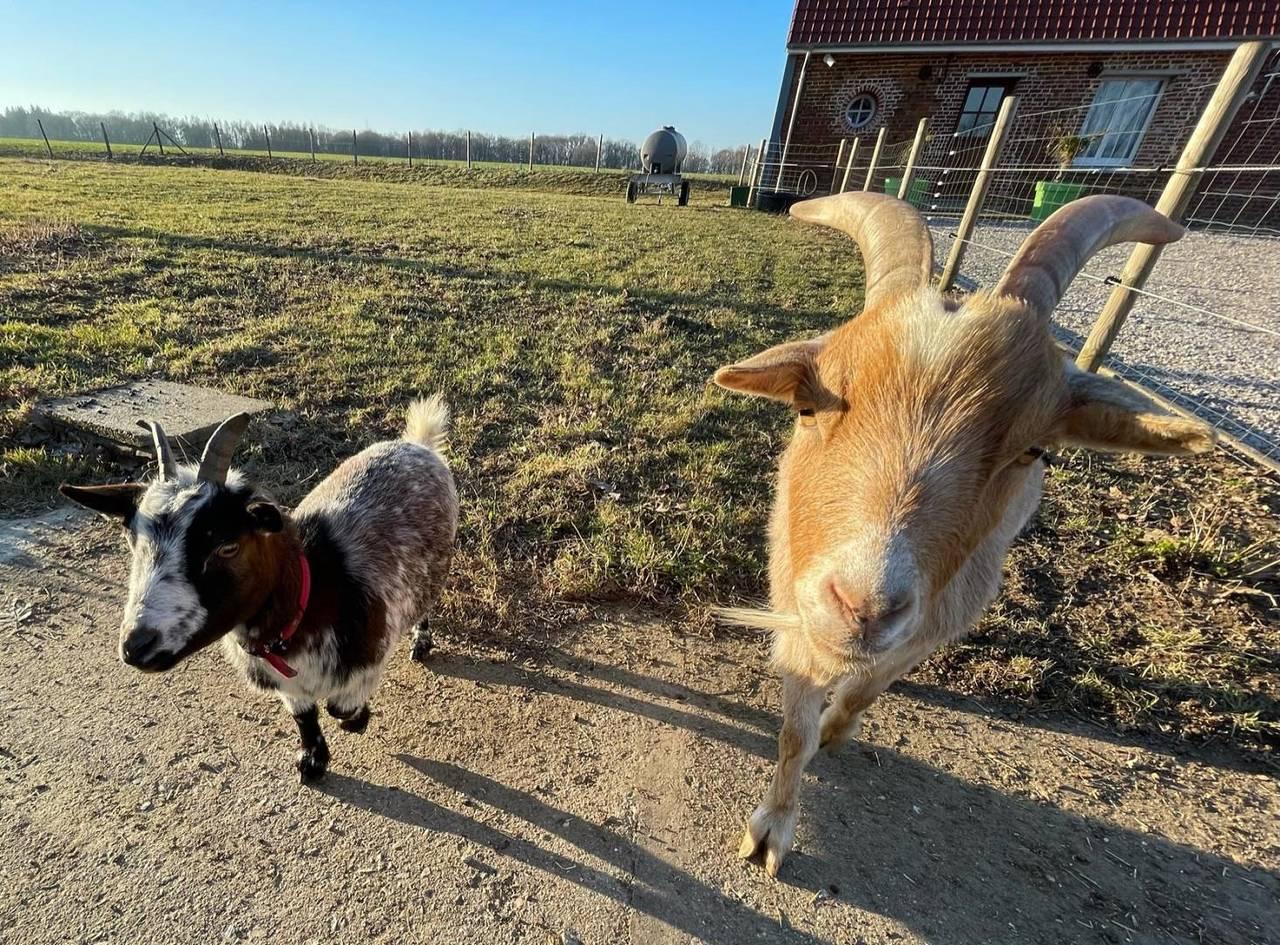 Gîtes de France® - Gîte d'Eclehêtre in Foucarmont, Frankrijk voor 10 personen foto 20