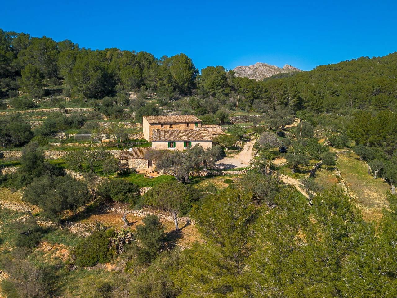 Can Tiona - Can Tiona 400.1 in Andratx, West-Mallorca, Spanje voor 4 personen foto 21