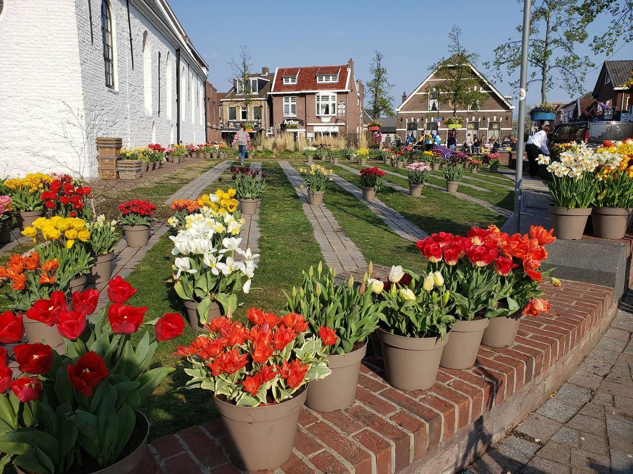 Vakantiehuis in Noordwijkerhout, Nederland voor 4 personen foto 14