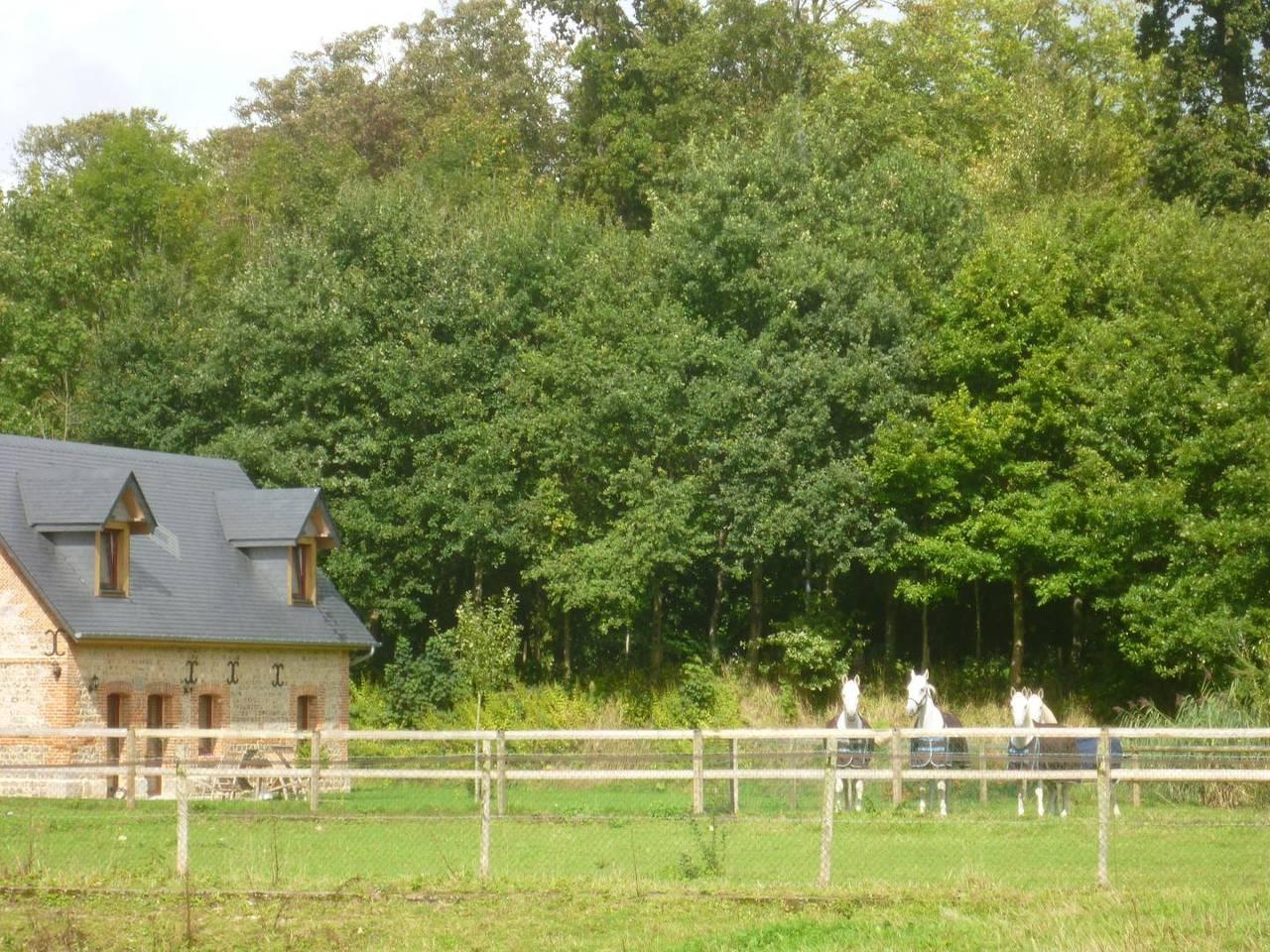 Gîtes de France® - Le Clos Mer et Lin in Paluel, Frankrijk voor 6 personen foto 22