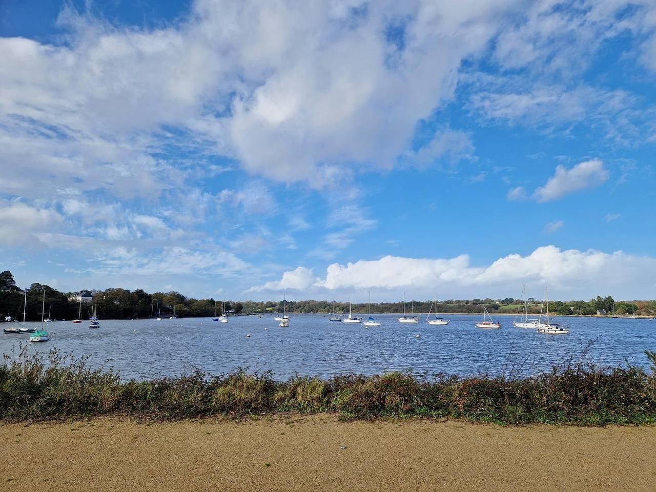 Visnonia in Arzal, Côte des Mégalithes, Frankrijk voor 6 personen foto 20