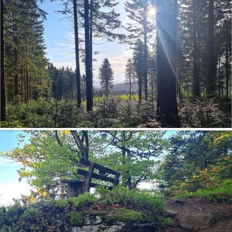 Vakantiehuis met sauna en binnenzwembad in Sankt Englmar, Vorderer Bayerischer Wald, Duitsland voor 5 personen foto 22