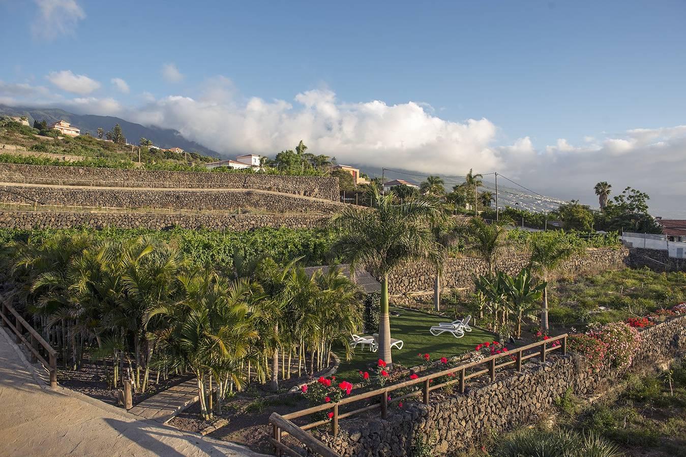 Apartamento Tenerife Norte vista mar in El Caletón, La Matanza de Acentejo, Spanje voor 3 personen foto 23
