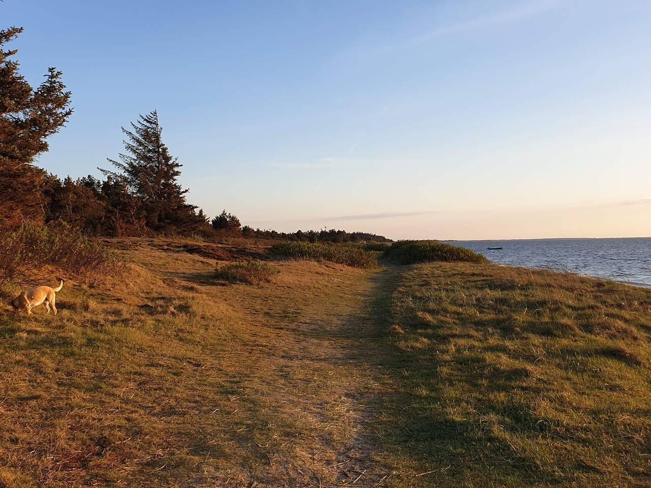 Vakantiehuis in Tarm, Denemarken voor 6 personen foto 12
