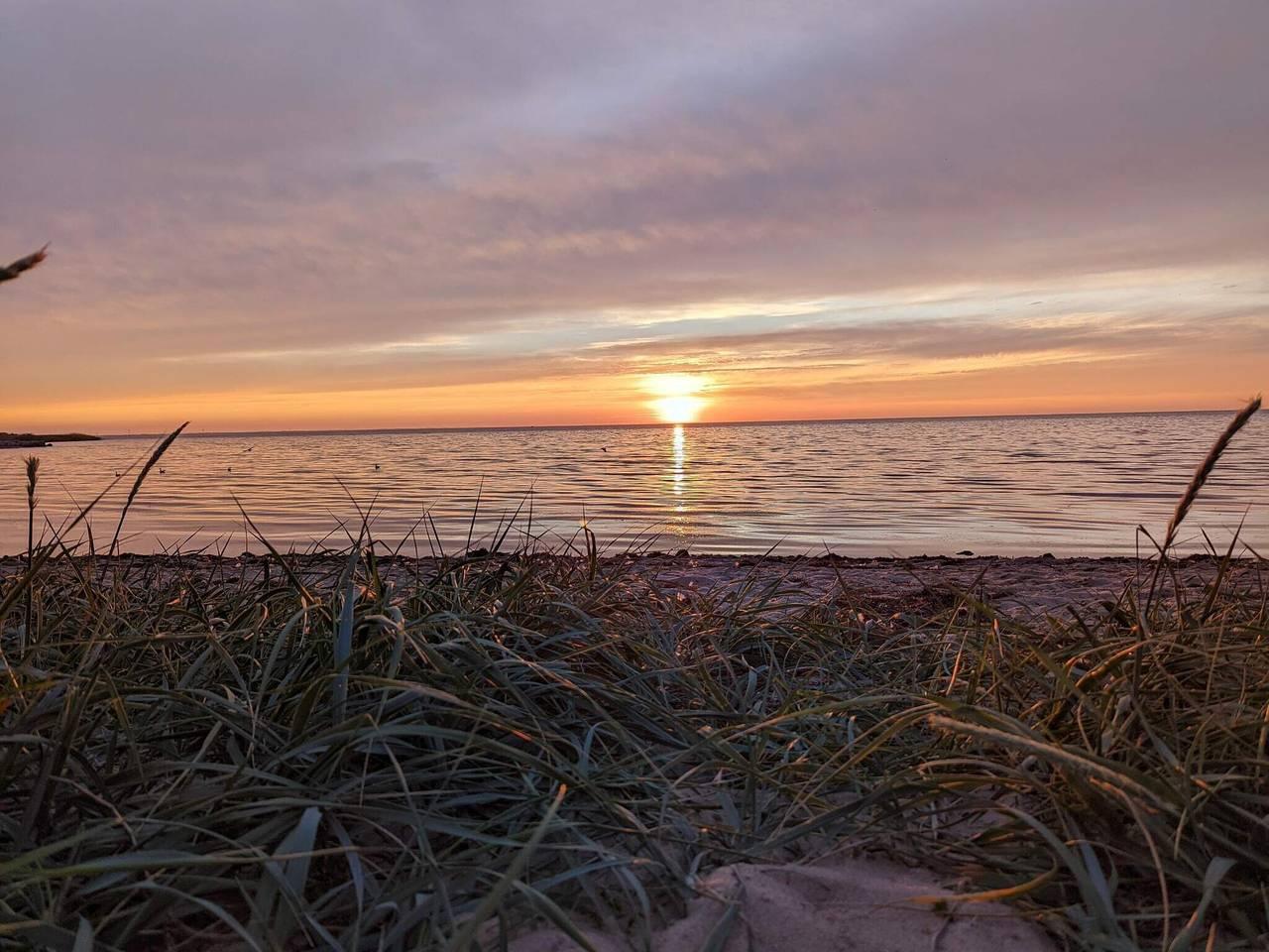 Vakantiehuis in Tarm, Denemarken voor 8 personen foto 16
