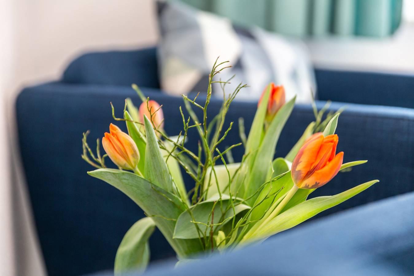Vakantieappartement in Cuxland, Duitsland voor 2 personen foto 5