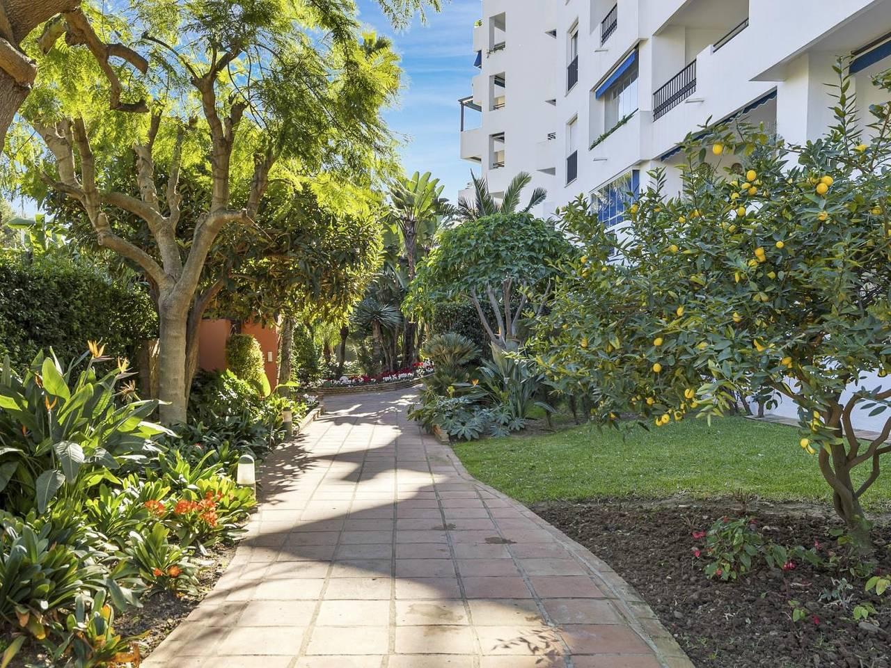 Vakantieappartement met zwembad en 40 m², 1 slaapkamer en terras in Medina Gardens, Marbella, Spanje voor 2 personen foto 20