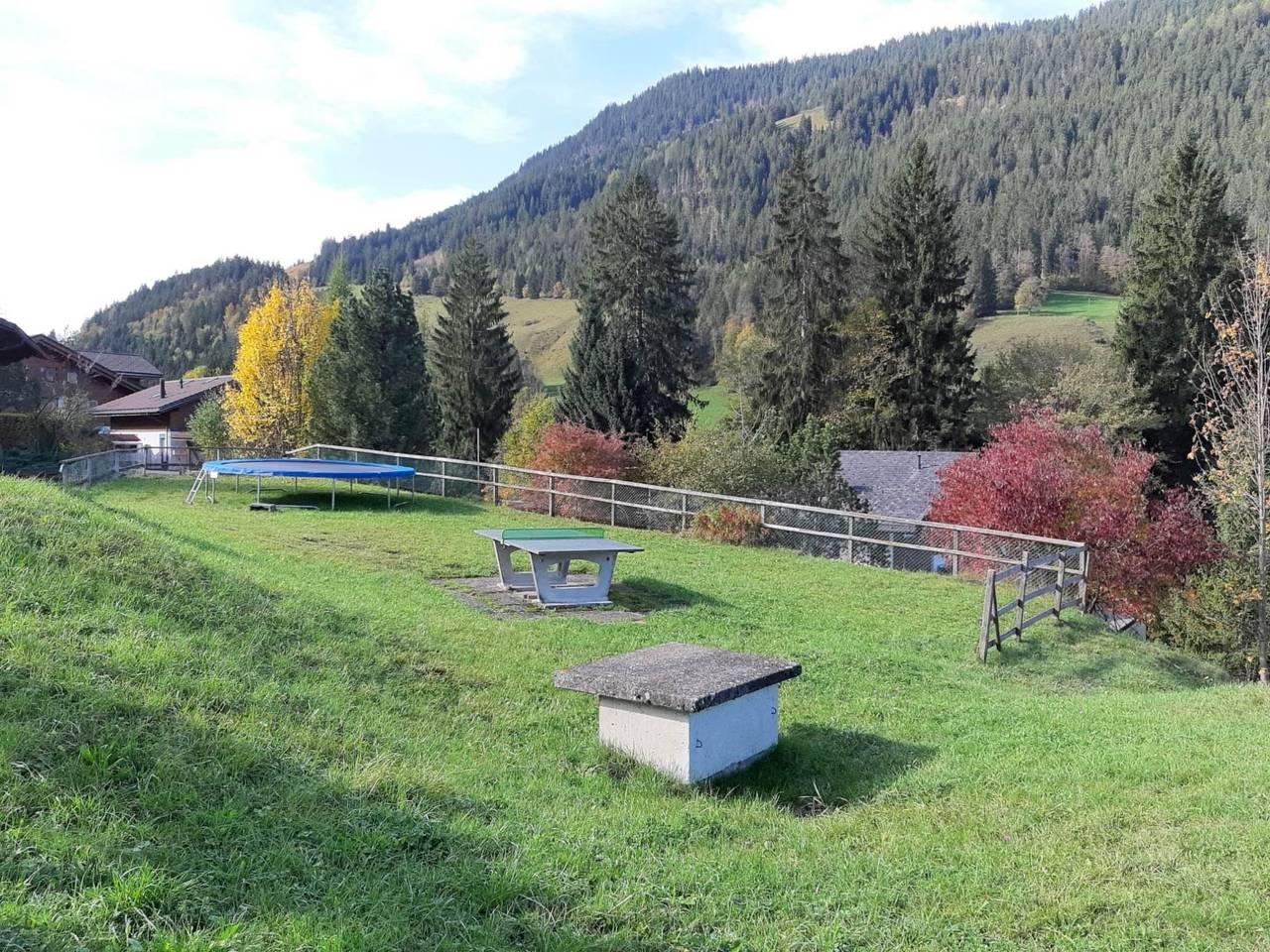 Vakantieappartement in Zweisimmen, Zwitserland voor 7 personen foto 11